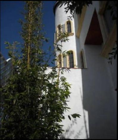 Welcome To Casa Viva Mexico 3-Bedrooms 2-Bathroms 6-Guests Close To Shoping Center & Beach Тихуана Экстерьер фото
